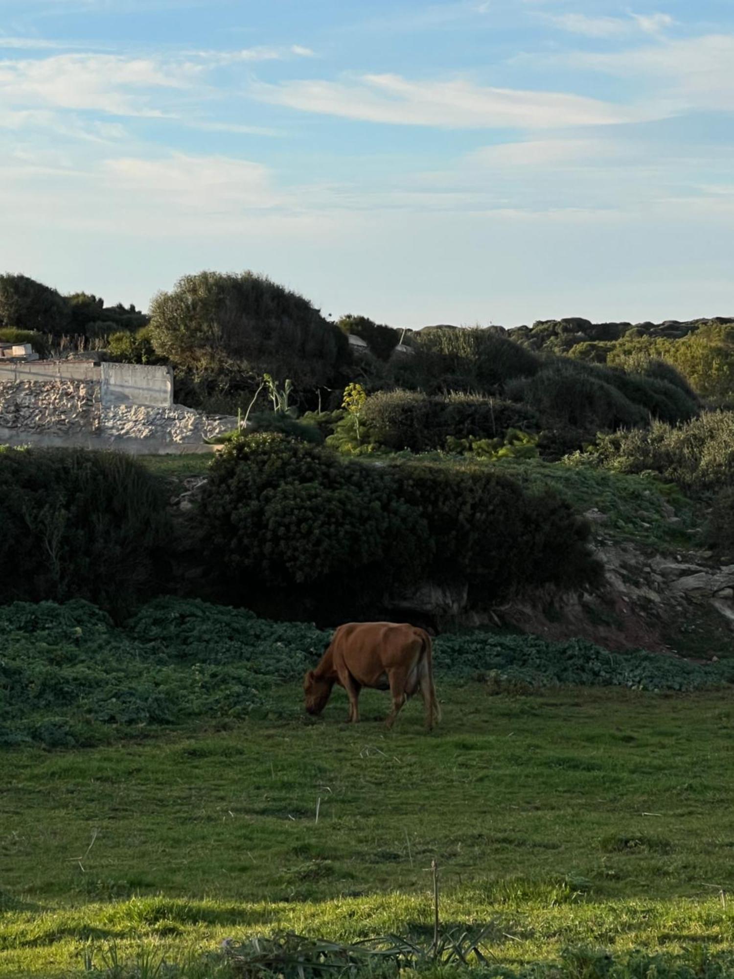 Mongofre Agroturismo ماهون المظهر الخارجي الصورة